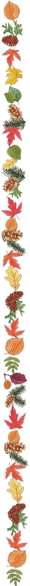 leaf rt.jpg