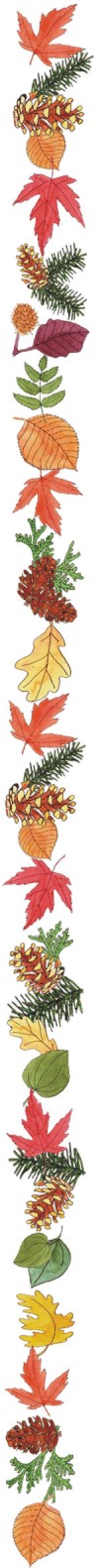 leaf-edge2.jpg
