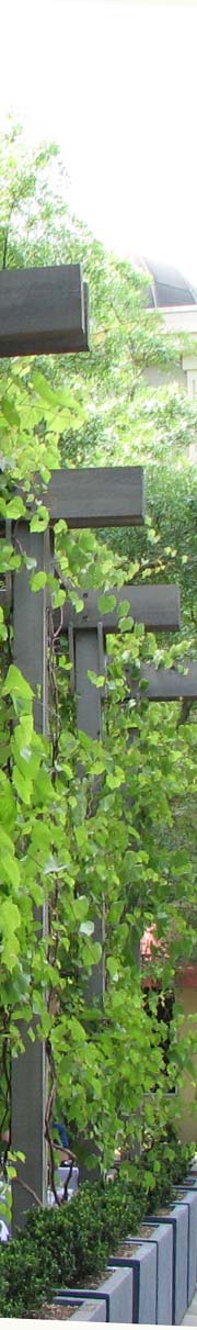 IMG_0036psd.jpg