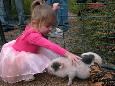 Petting Zoo05.JPG