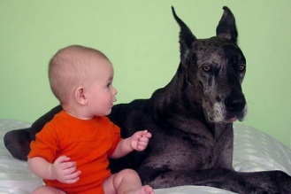 saywoof2.jpg