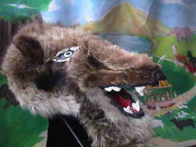 Wolf.jpg
