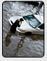 newsletter_sidebar_image-floodcar.gif