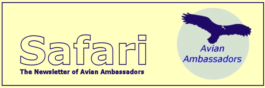 SafariMastHead_150.jpg