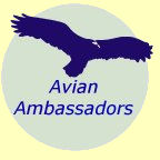Visit http://www.AvianAmbassadors.com