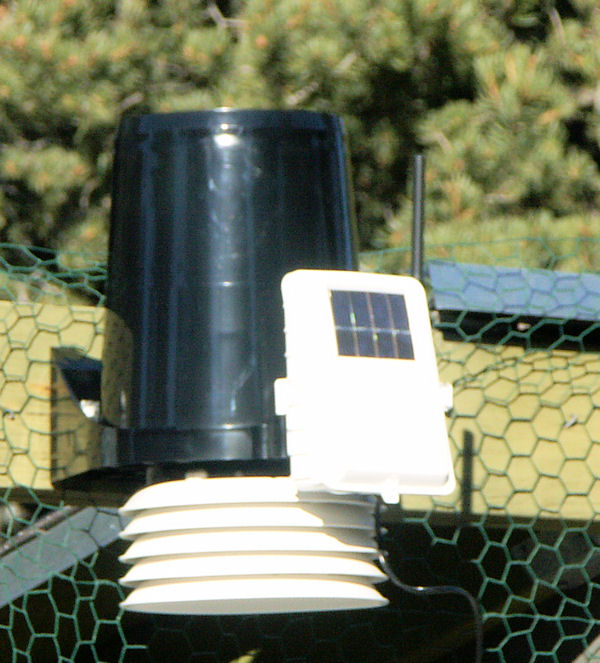PICT3969 150 cropped.JPG