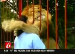lion.jpg