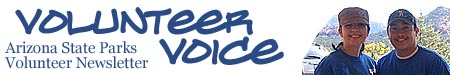 logo_volunteer_voice.jpg