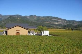 Madrigal's new winery, among the vines of Napa Valley